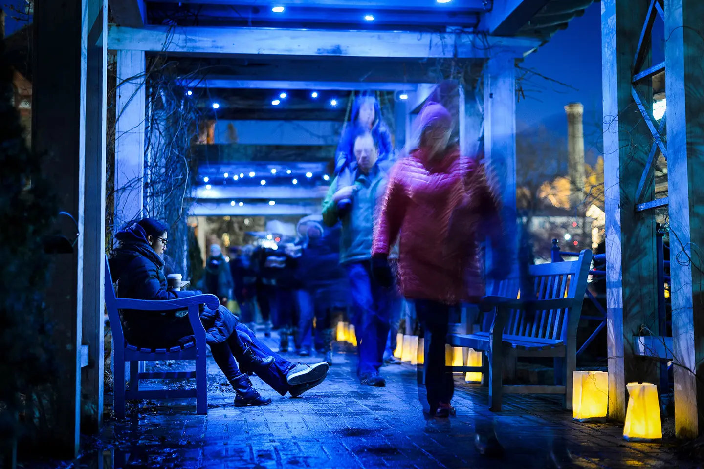 Visitors at the Allen Centennial Gardens walk along a trellis-covered pathway lined with glowing luminaries at dusk