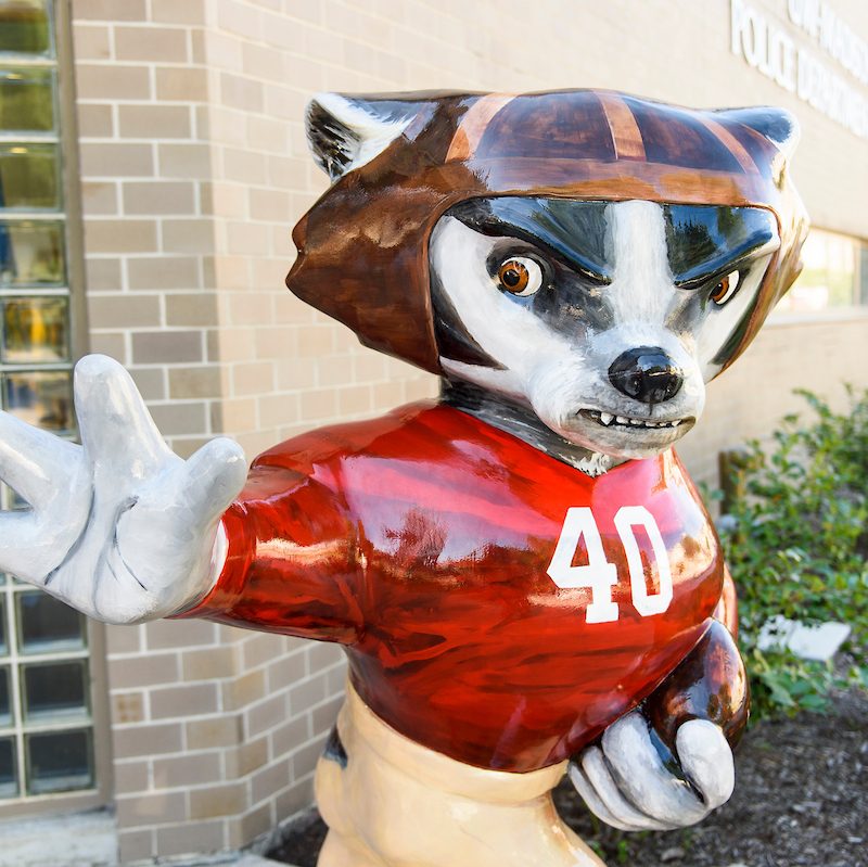 Football Bucky