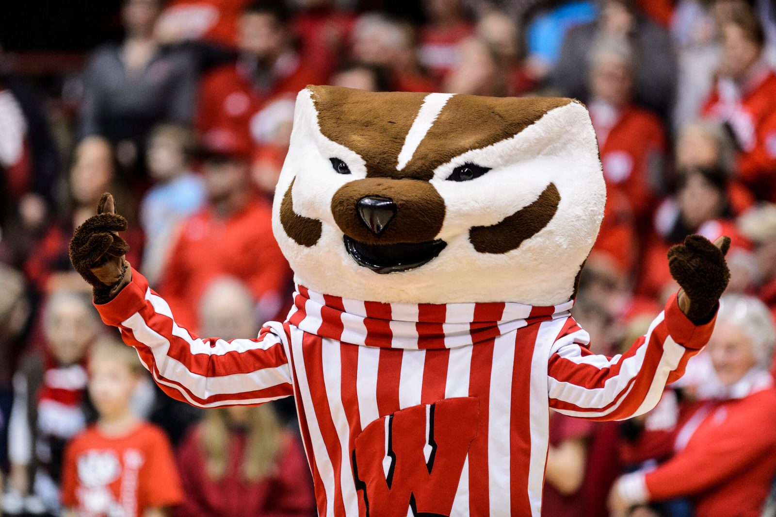 UW-Madison mascot Bucky Badger cheers as the Wisconsin Badgers volleyball team.