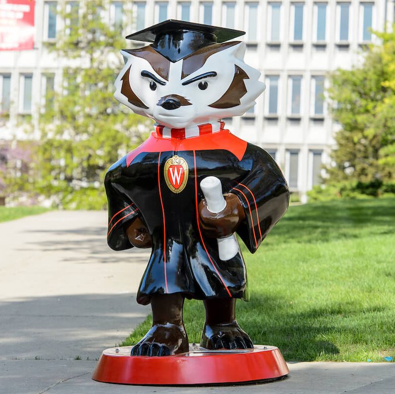 Graduate Bucky