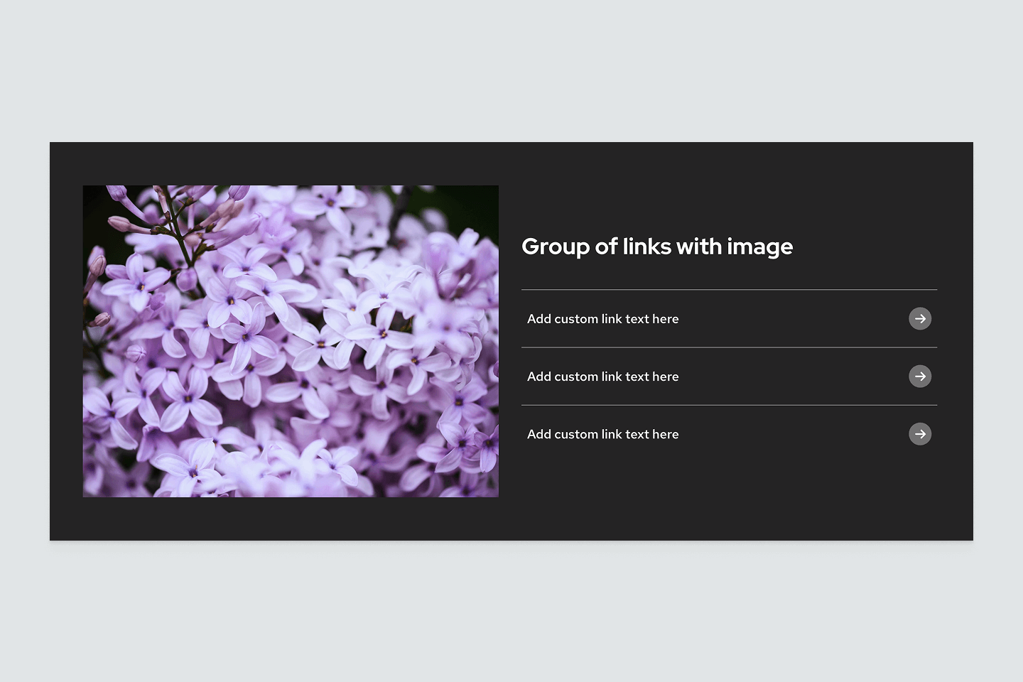 Layout with an image on the left and Group of Links block on the right.