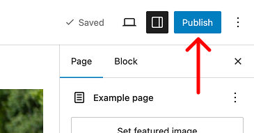 Blue publish button in the top right of the top toolbar