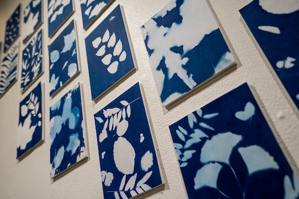 Blue-and-white cyanotype prints displayed in a grid on a gallery wall.