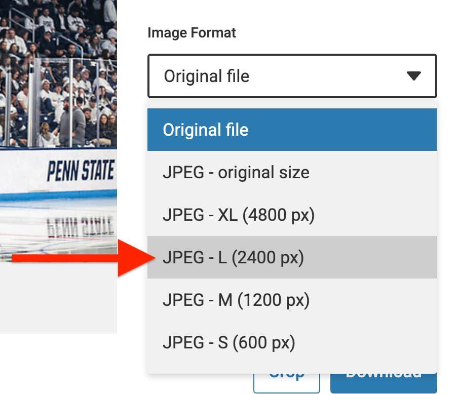 The option "JPEG - L (2400px)" selected in the image format dropdown in the UW Photo Library download modal. 