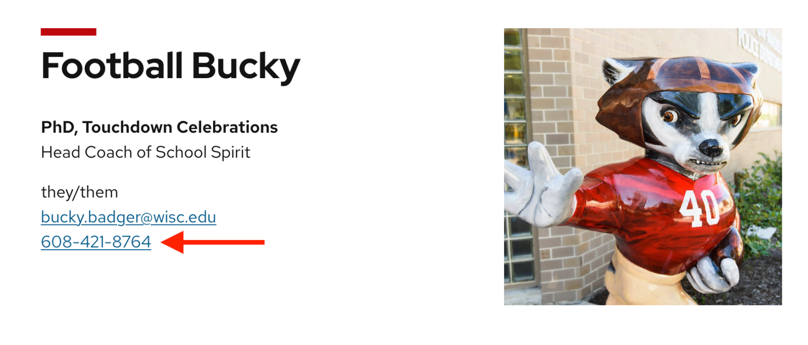 Linked telephone number on a profile page about Football Bucky